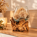 Wurzel natur mit einem Glas mittig 20x20x20cm