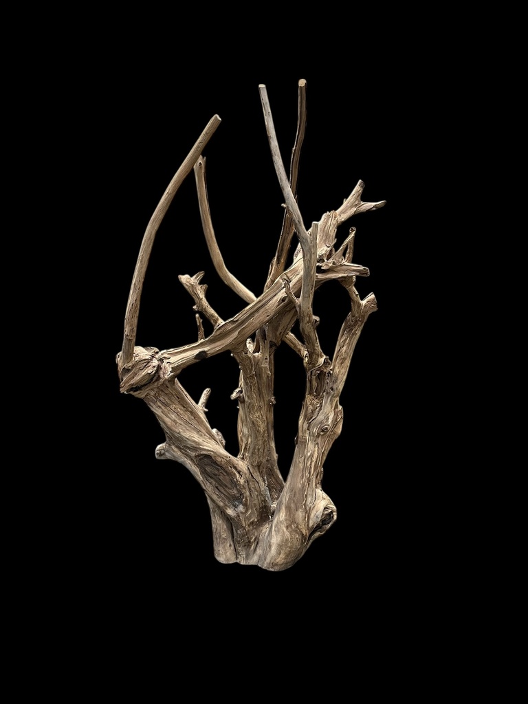 Wurzel aus Teakholz / Größe: ca. 70x50x155 cm