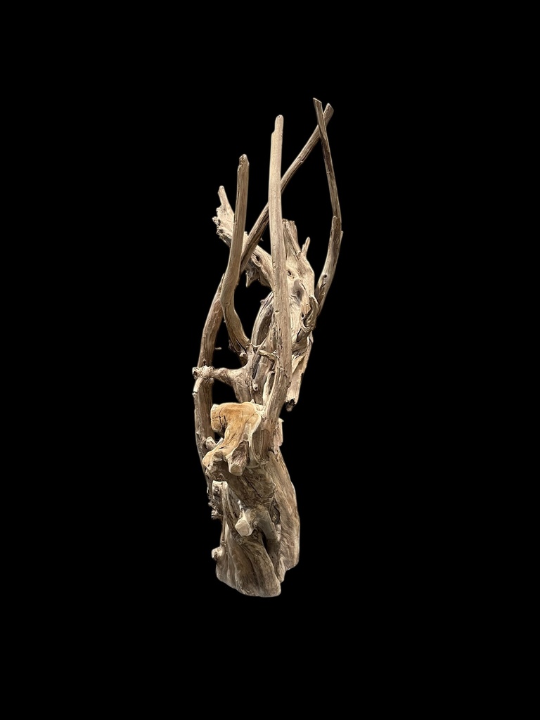 Wurzel aus Teakholz / Größe: ca. 70x50x155 cm