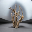 Wurzel aus Teakholz / Größe: ca. 70x50x155 cm