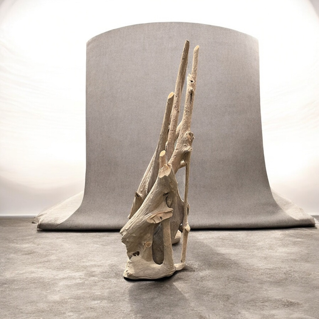 Wurzel aus Teakholz / Größe: ca. 70x50x155 cm