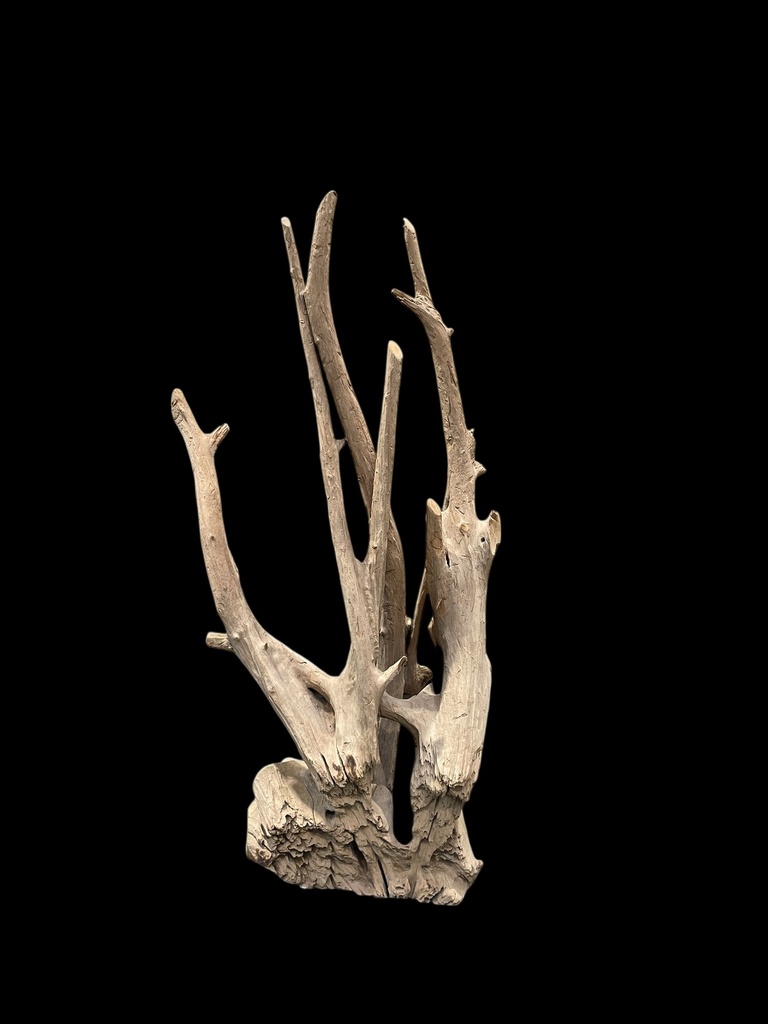 Wurzel aus Teakholz / Größe: ca. 70x50x155 cm