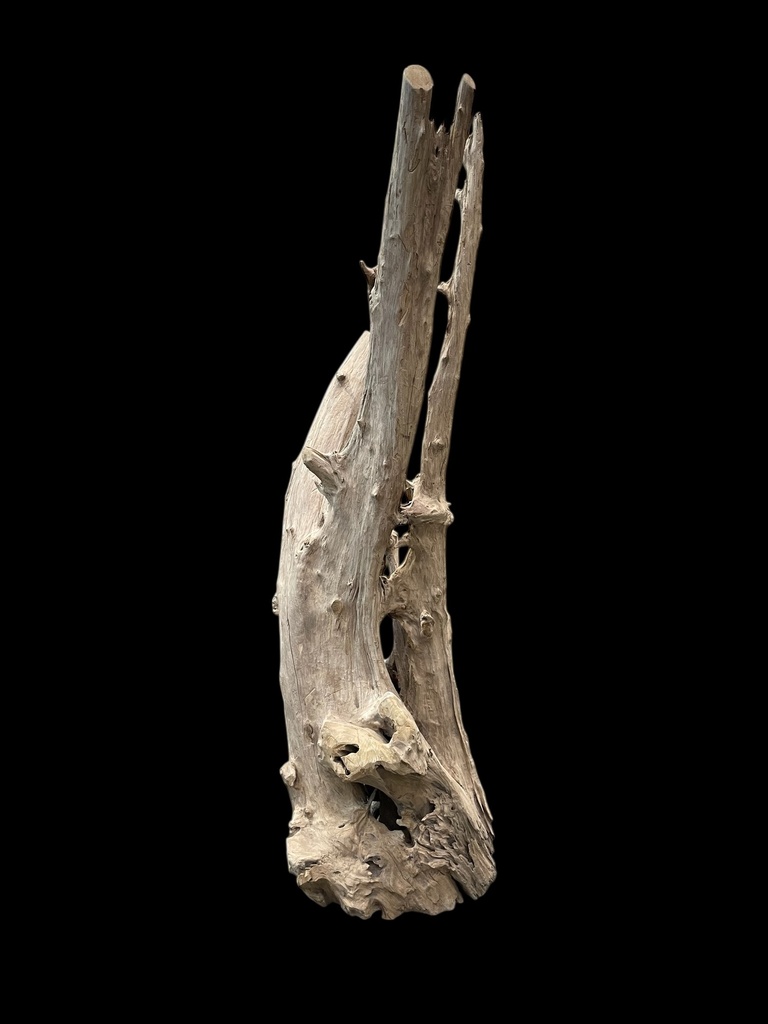 Wurzel aus Teakholz / Größe: ca. 70x50x155 cm