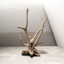 Wurzel aus Teakholz / Größe: ca. 70x50x155 cm