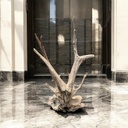 Wurzel aus Teakholz / Größe: ca. 70x50x155 cm