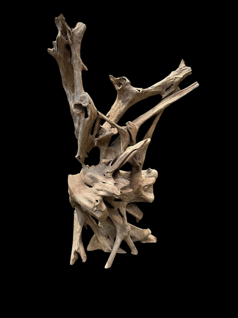 Wurzel aus Teakholz / Größe: ca. 70x50x155 cm