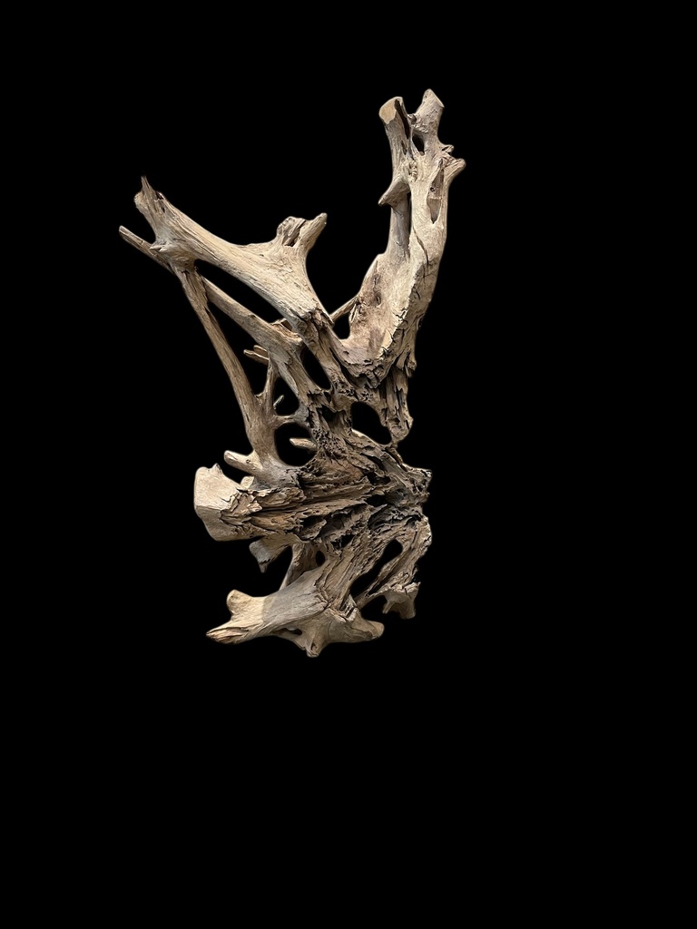 Wurzel aus Teakholz / Größe: ca. 70x50x155 cm