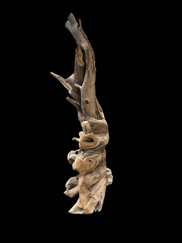 Wurzel aus Teakholz / Größe: ca. 70x50x155 cm