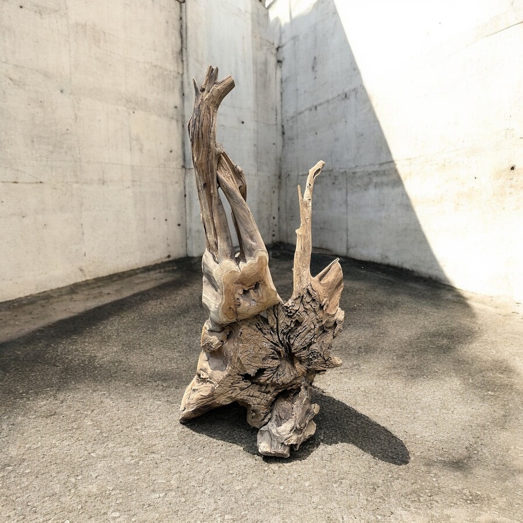 Wurzel aus Teakholz / Größe: ca. 70x50x155 cm