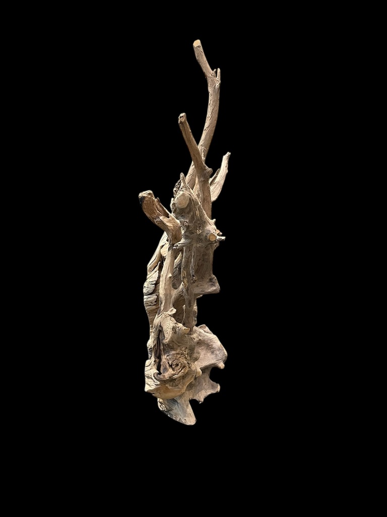 Wurzel aus Teakholz / Größe: ca. 70x50x155 cm