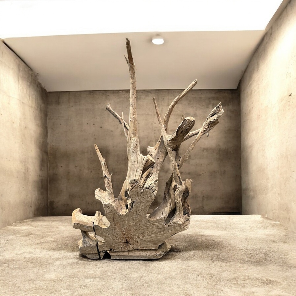 Wurzel aus Teakholz / Größe: ca. 70x50x155 cm