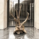 Wurzel aus Teakholz / Größe: ca. 70x50x155 cm