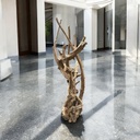 Wurzel aus Teakholz / Größe: ca. 70x50x155 cm