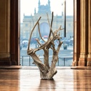 Wurzel aus Teakholz / Größe: ca. 70x50x155 cm