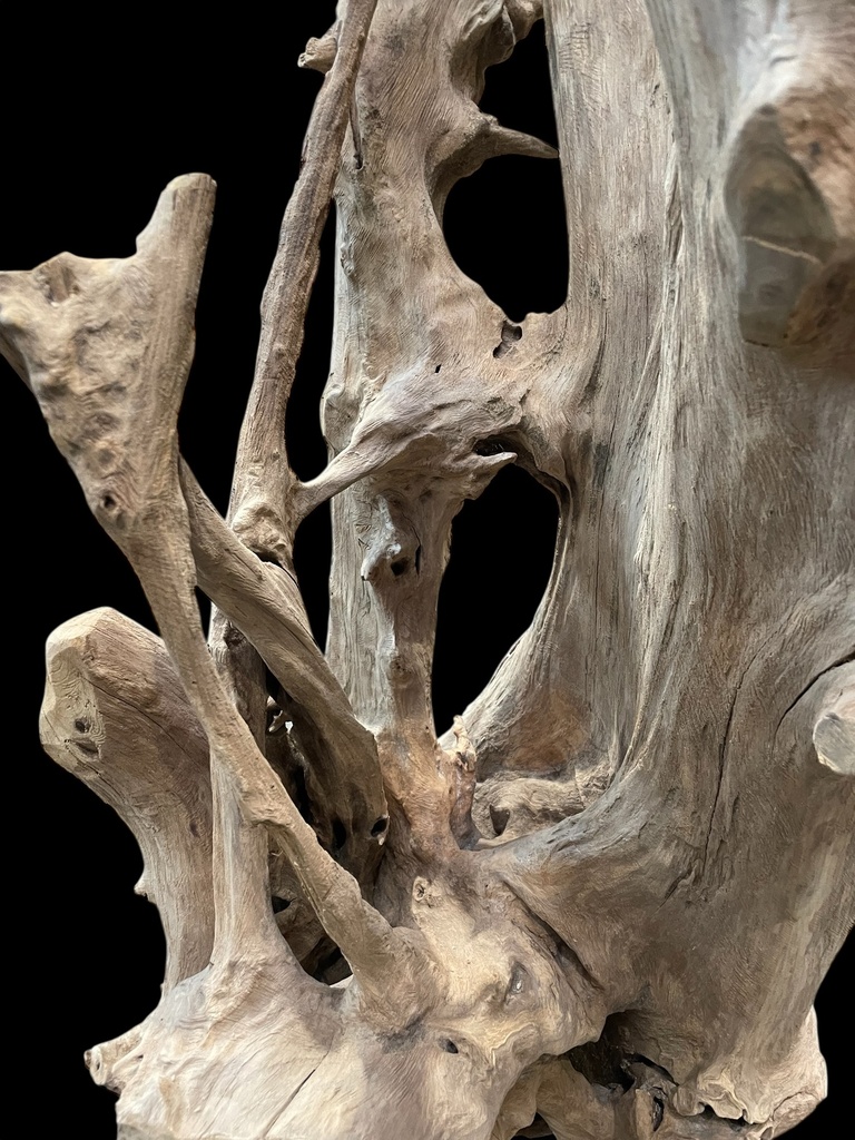 Wurzel aus Teakholz / Größe: ca. 70x50x155 cm