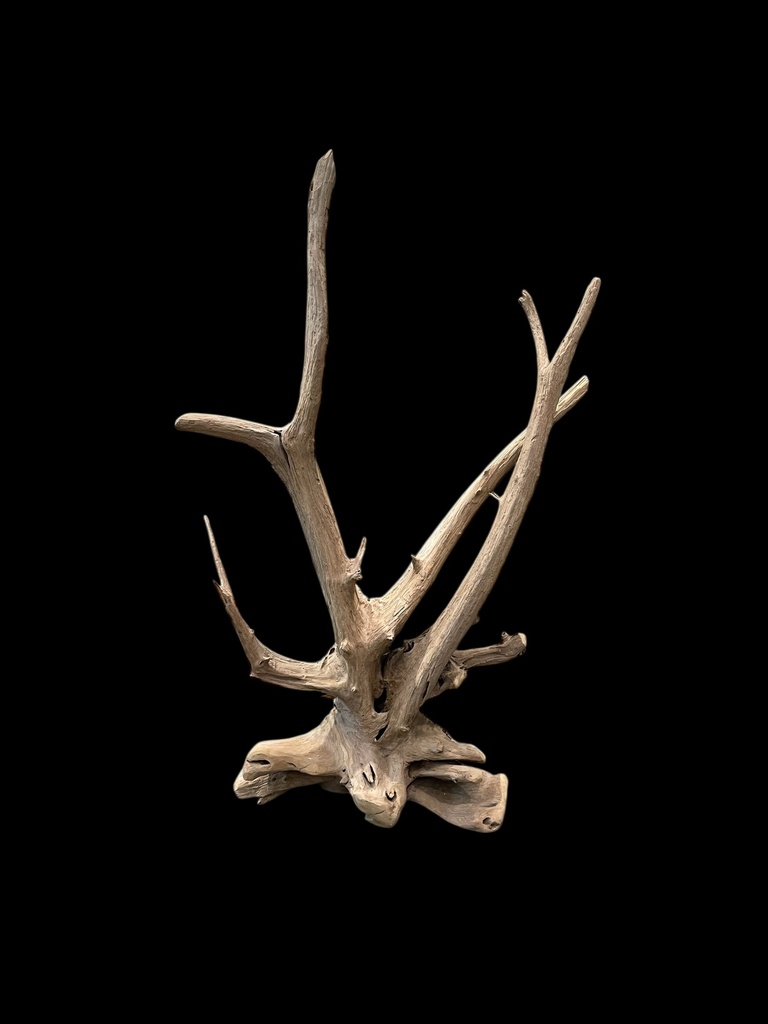 Wurzel aus Teakholz / Größe: ca. 70x50x155 cm