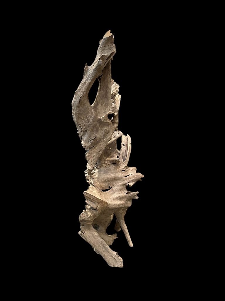 Wurzel aus Teakholz / Größe: ca. 70x50x155 cm (Kopie)