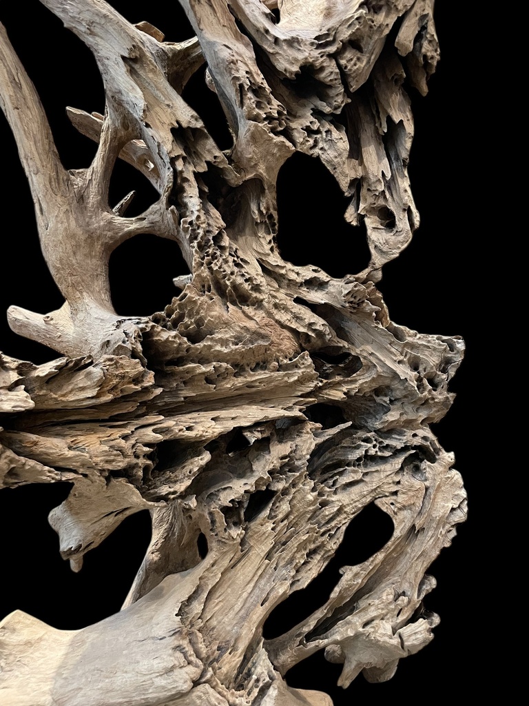 Wurzel aus Teakholz / Größe: ca. 70x50x155 cm (Kopie)