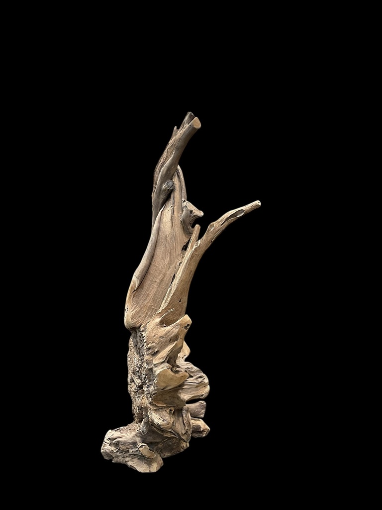Wurzel aus Teakholz / Größe: ca. 70x50x155 cm