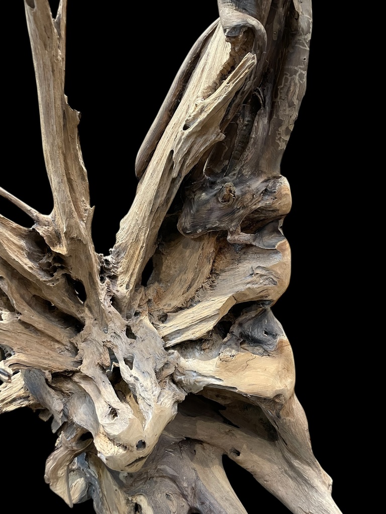 Wurzel aus Teakholz / Größe: ca. 70x50x155 cm