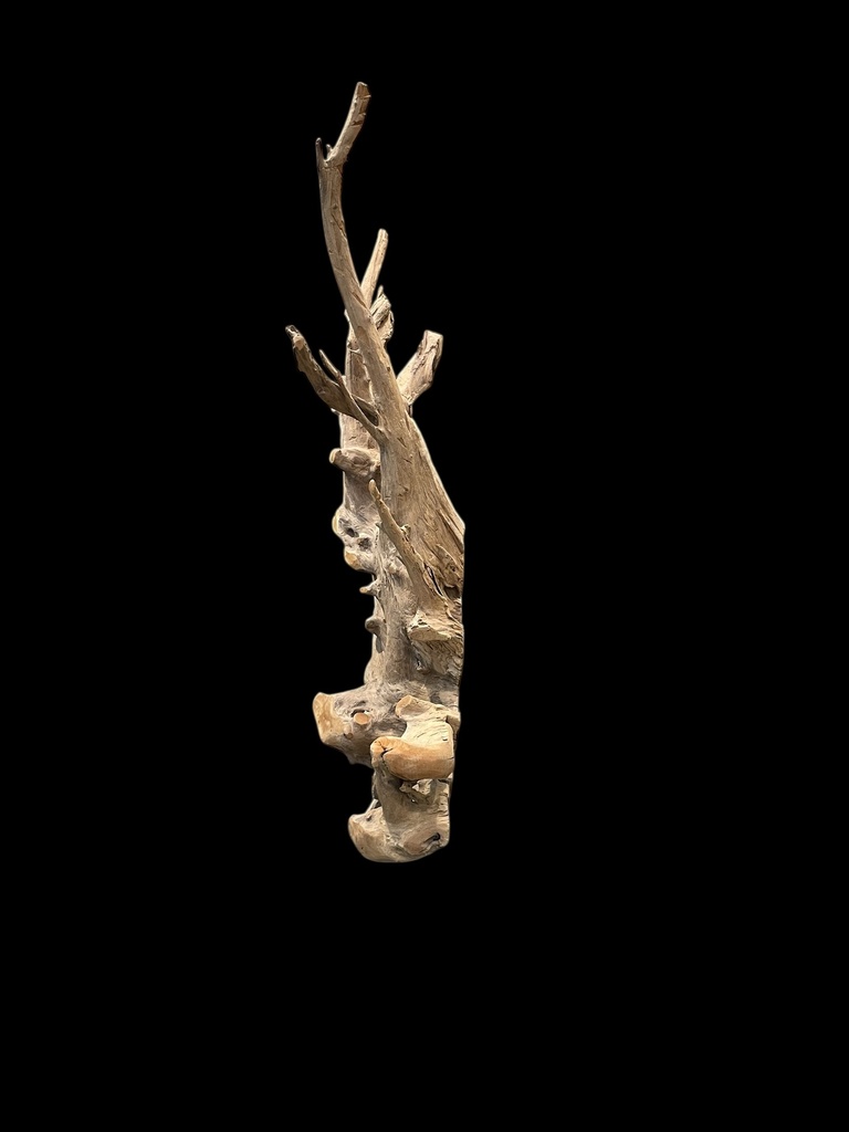 Wurzel aus Teakholz / Größe: ca. 70x50x155 cm