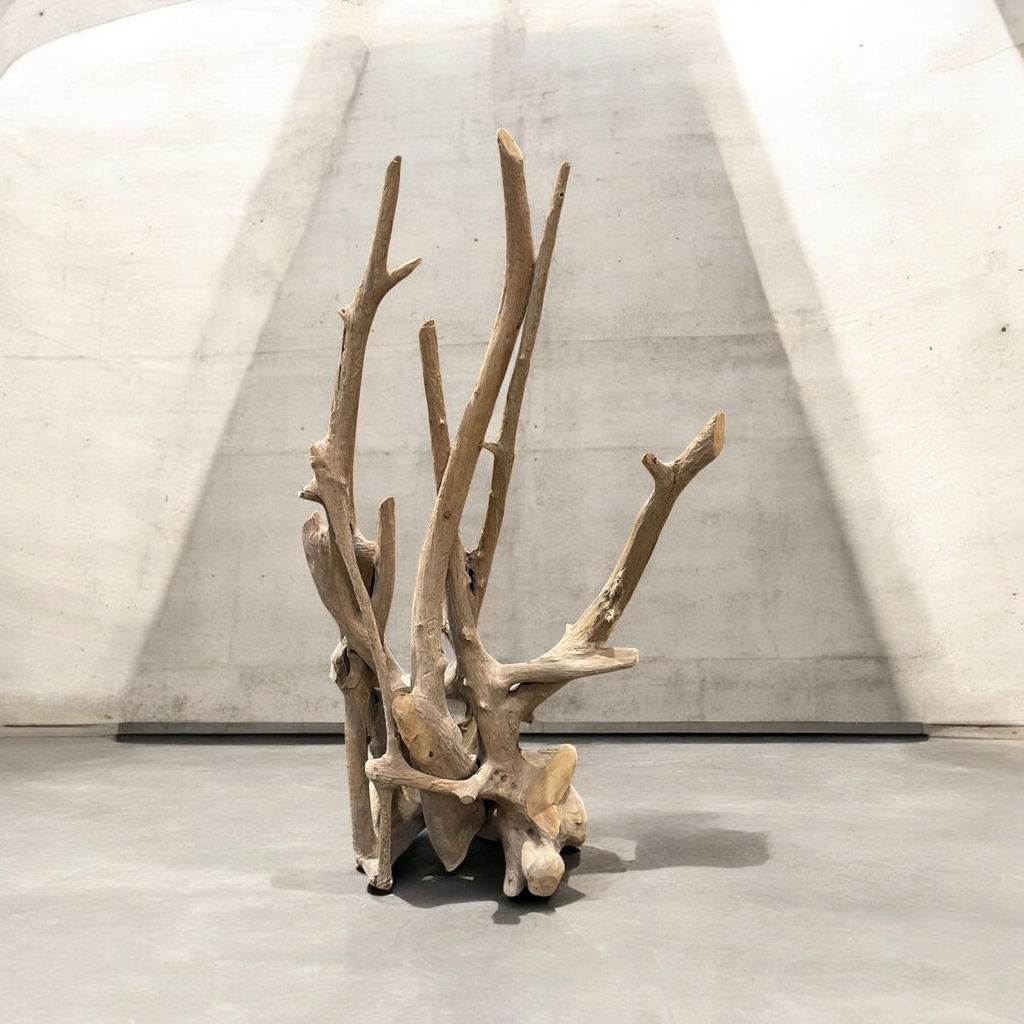 Wurzel aus Teakholz / Größe: ca. 70x50x155 cm