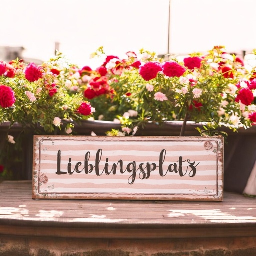 Holzschild "Lieblingsplatz" 24 x 14cm