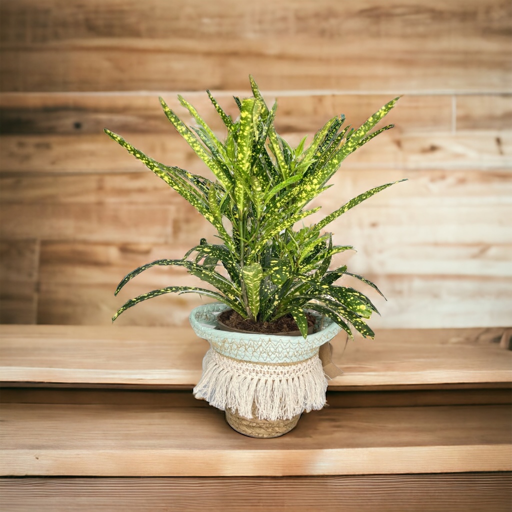 pflanztopf riesig Runder Inlay-Pflanztopf | Gro | Beige