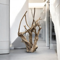 [A579a1] Wurzel aus Teakholz / Größe: ca. 70x50x155 cm