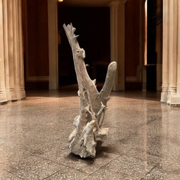 [A579a4] Wurzel aus Teakholz / Größe: ca. 70x50x155 cm