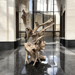 [A579a6] Wurzel aus Teakholz / Größe: ca. 70x50x155 cm