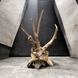 [A976a9] Wurzel aus Teakholz / Größe: ca. 70x50x155 cm